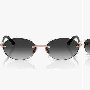 Tiffany & Co. Gradiant Sunglasses. Brand New with Tiffany case